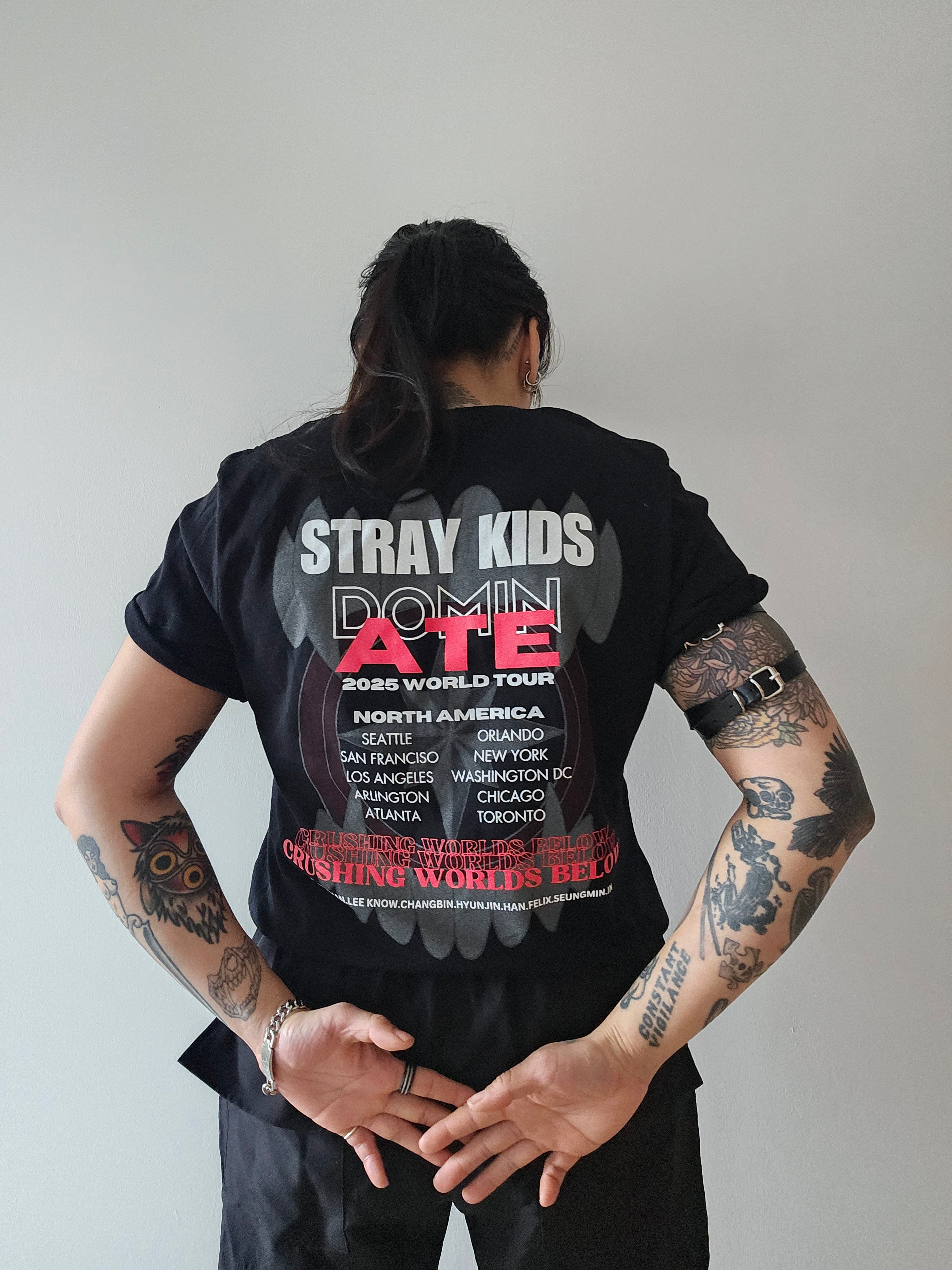 Stray Kids DominATE Tour Shirt